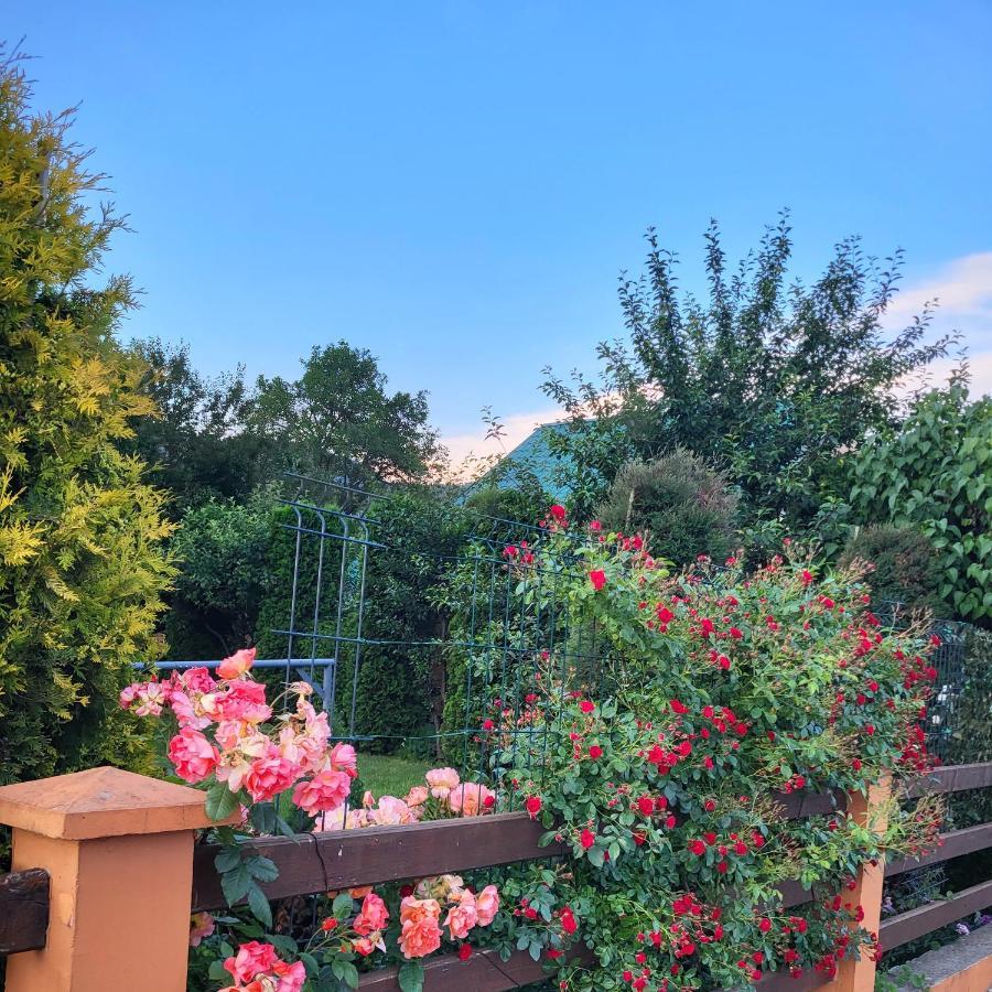 Lodge Breza Lux Kolašin Buitenkant foto